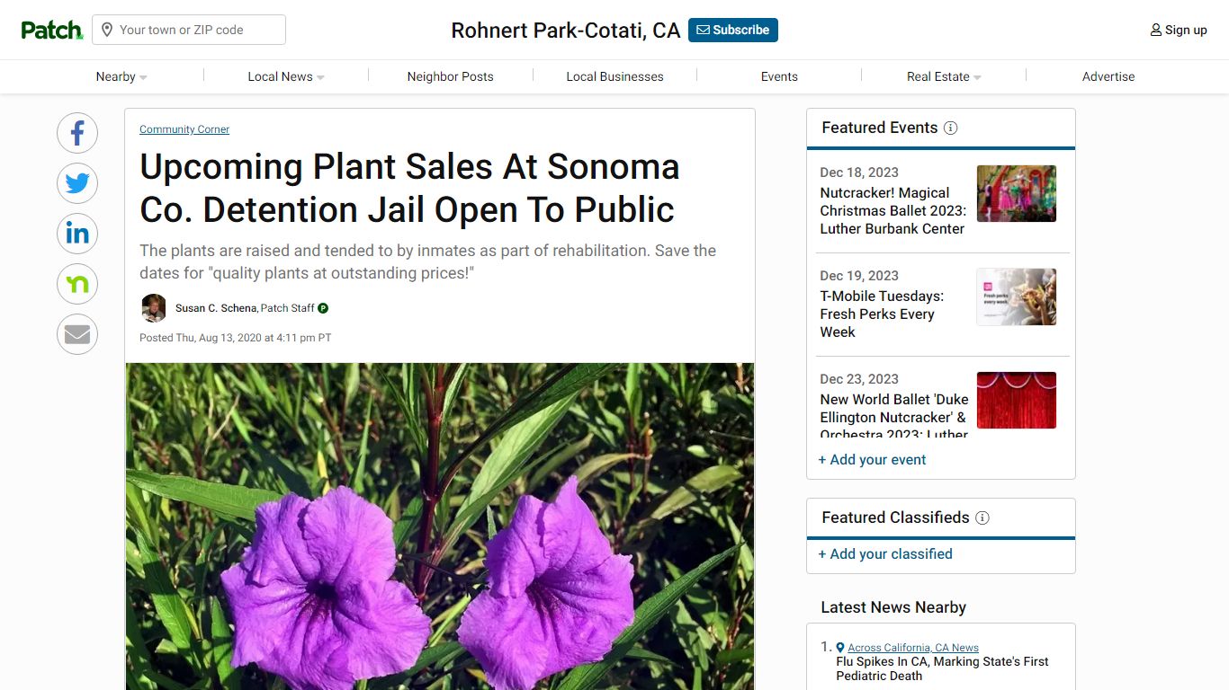 Upcoming Plant Sales At Sonoma Co. Detention Jail Open To Public - Patch